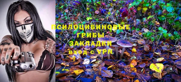 дживик Армянск