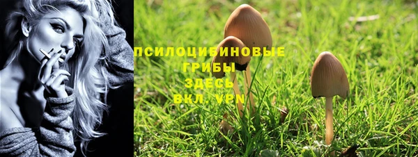 дживик Армянск