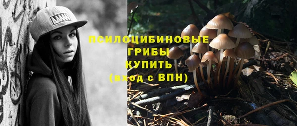 гидра Аркадак