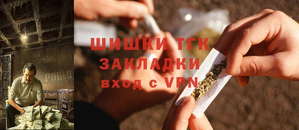 гидра Аркадак