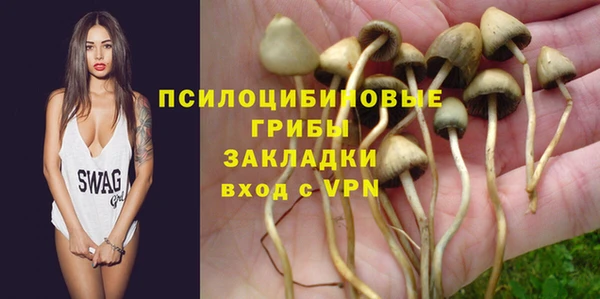 гидра Аркадак