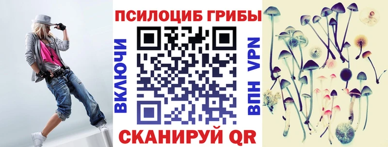 Псилоцибиновые грибы Psilocybe  Узловая 